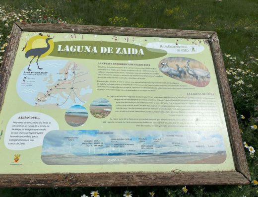 Imagen del panel informativo de la launa de la Zaida.