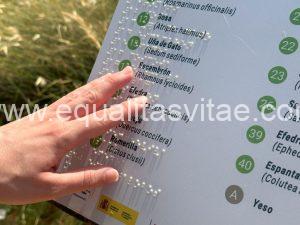 Mano sobre panel en braille