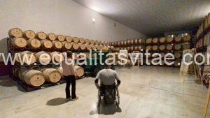 Imagen de una persona en silla de ruedas junto a una guía dentro de la sala de barricas.