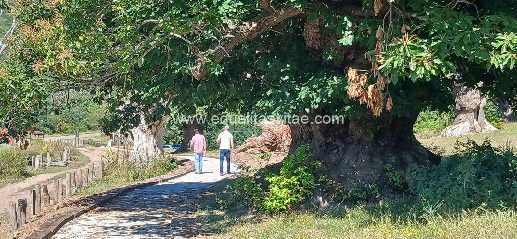 Imagen de dos personas recorriendo el sendero.