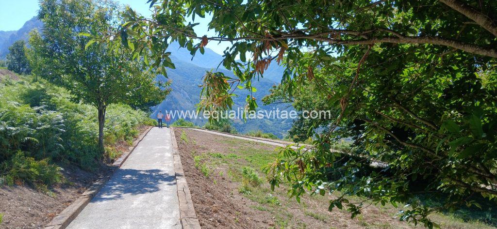 Imagen de un tramo del sendero.
