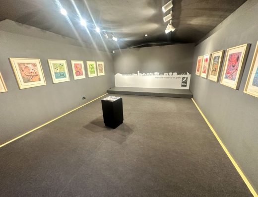 Imagen del interior de una de las salas con cuadros en las paredes.