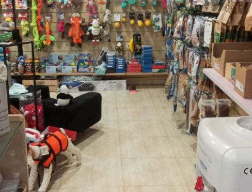Imagen del interior de la tienda.