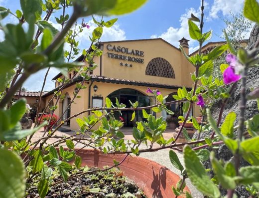 Imagen en primer plano de una planta con flores rosas que entre sus ramas dejan ver en segundo plano la fachada principal del hotel.
