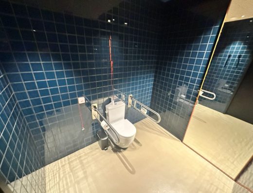Imagen del interior de la cabina del aseo con inodoro con barras de apoyo abatibles .