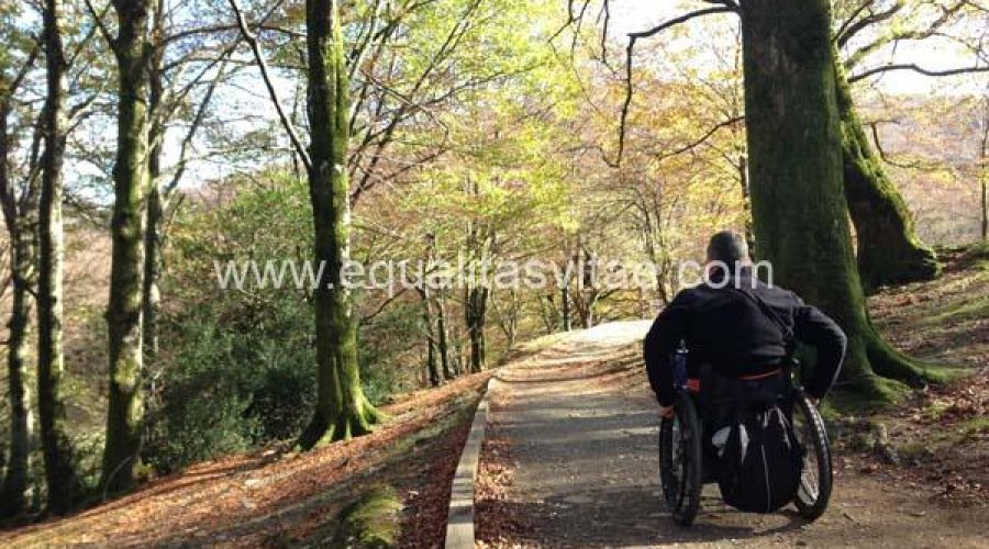 Naturaleza accesible en Navarra