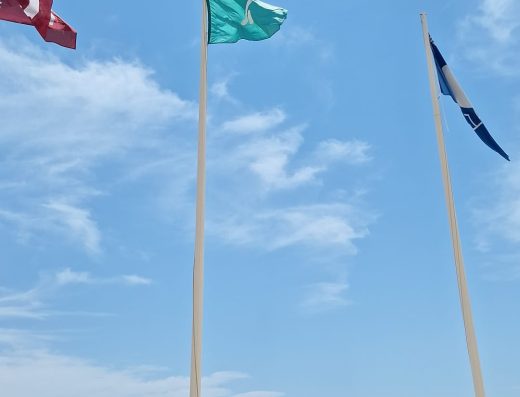 Imagen de una bandera verde con pictograma para daltónicos con línea recta inclinada con triángulo debajo.