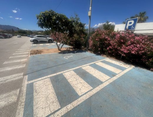 Imagen de dos plazas de aparcamiento para PMR que comparten espacio de transferencia lateral.