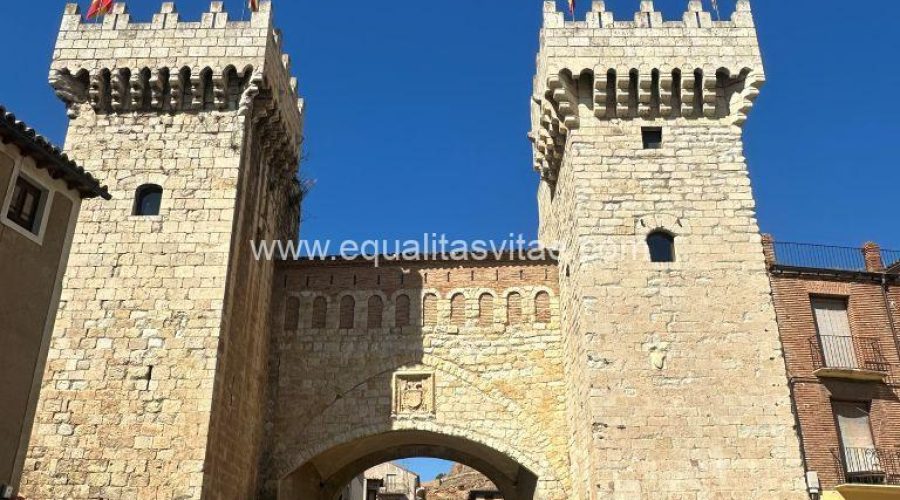 Visitas guiadas más accesibles en la Comarca Campo de Daroca