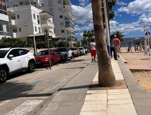 Imagen de un tramo del paseo más estrecho con árboles que limitan la movilidad.