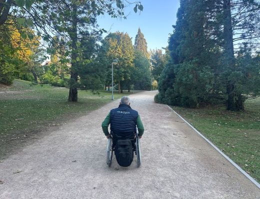 Imagen de una persona en silla de ruedas recorriendo un sendero de un parque.
