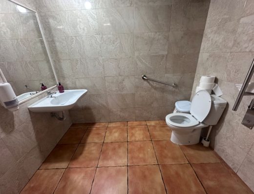 Imagen del interior del aseo. A la izquierda el lavabo sin pie, a la derecha el inodoro con dos barras.