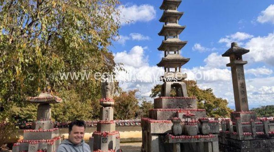 Visitando Osaka en silla de ruedas